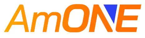 AmOne Debt